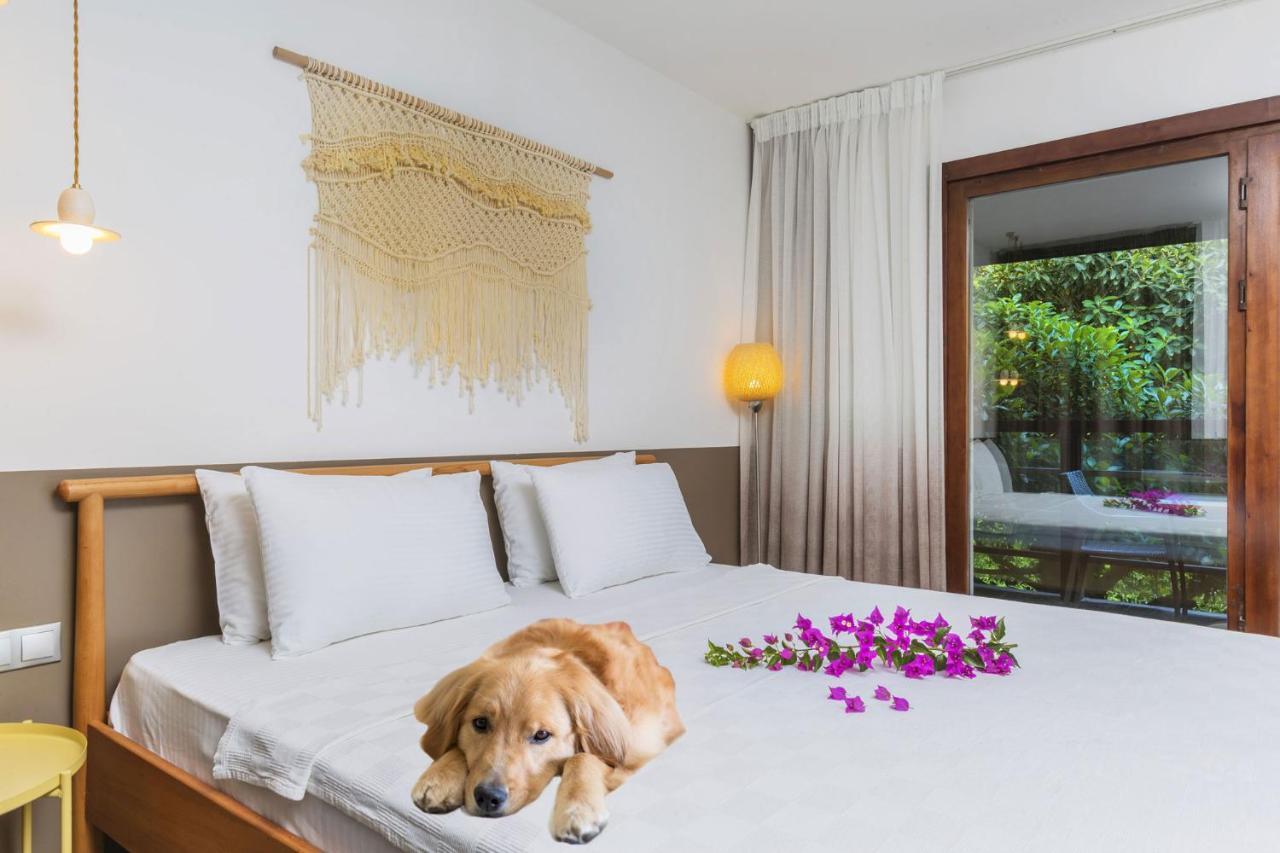 Faros Bodrum Hotel - Special Category 골터크부쿠 외부 사진